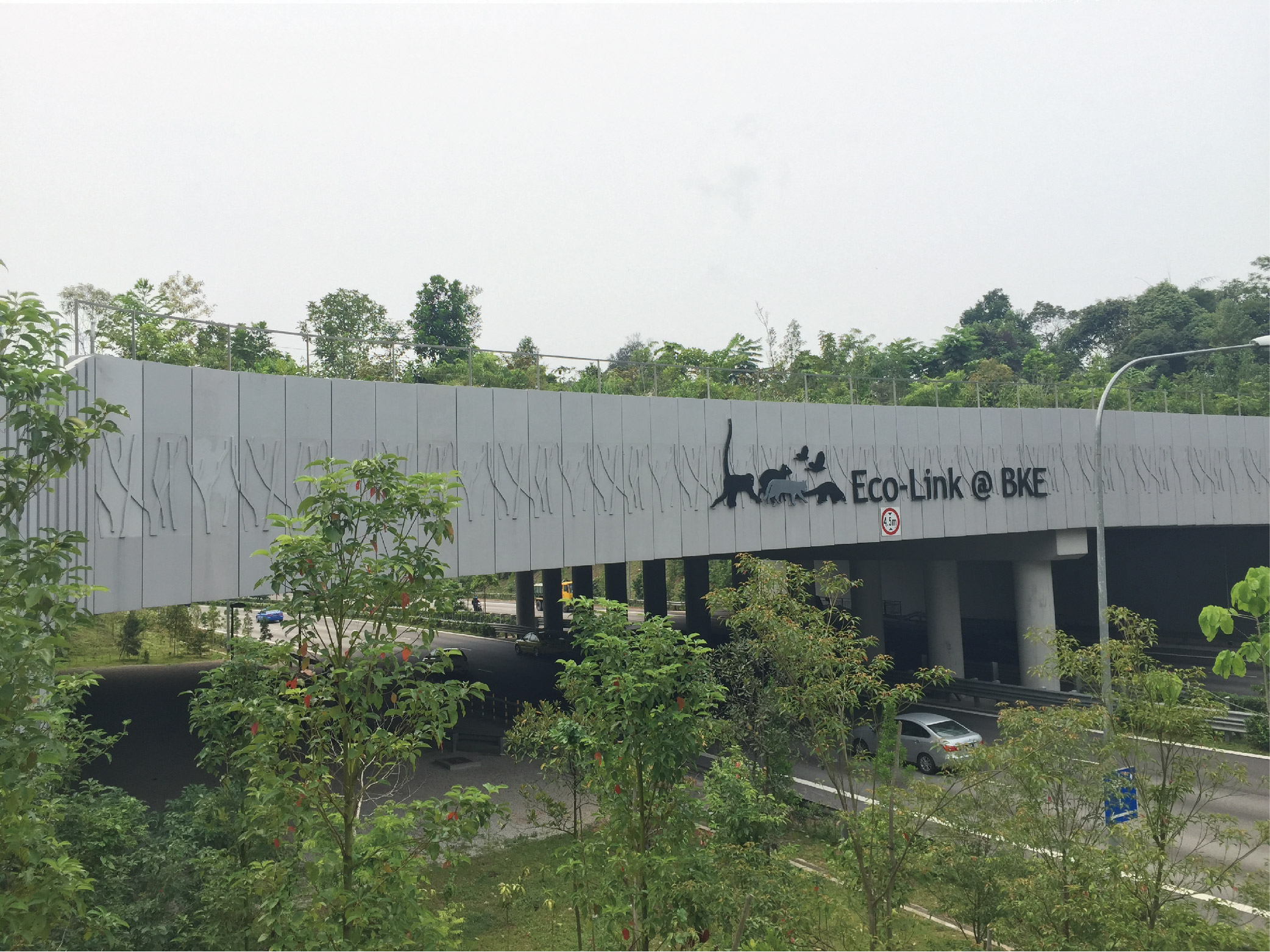 新加坡 Eco-Link@BKE 生態橋樑防樹根穿刺防水