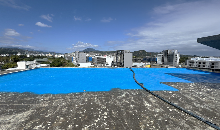 DDM Xinying Templeproject photo 3